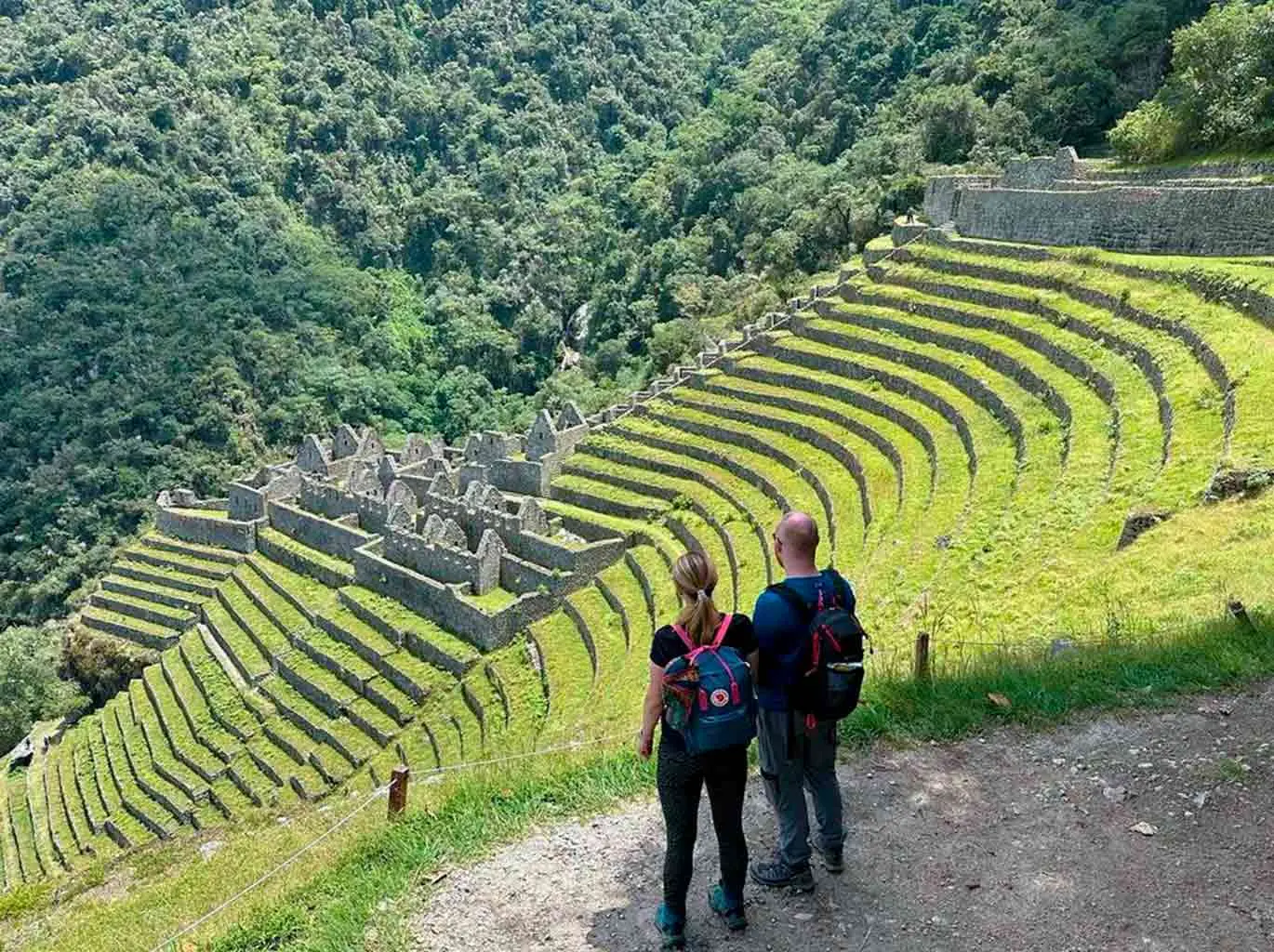 Short Inca Trail hikers walking through cloud forest on the ancient path